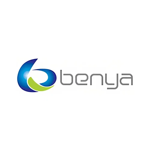 Chief Financial Officer, 